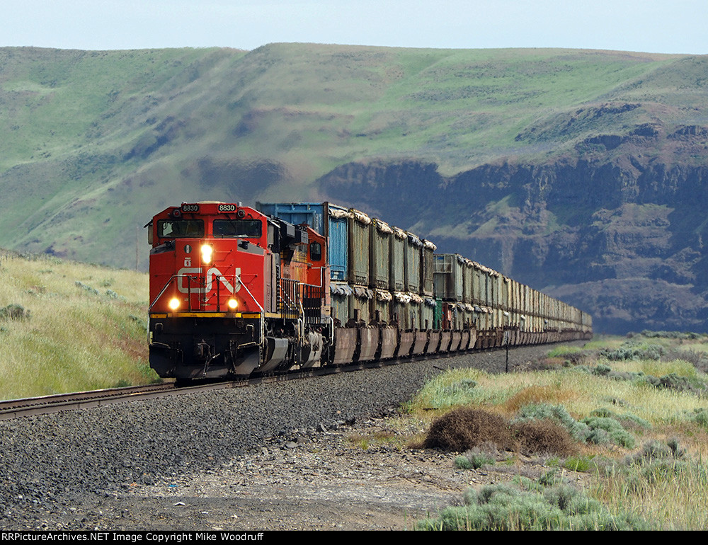 CN 8830
